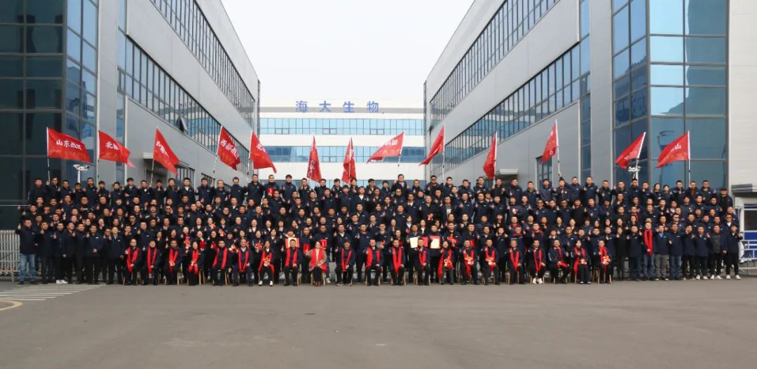 钱柜777集团举行2024年度总结表彰大会